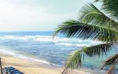 Туры в отель Polina Beach Resort
