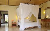 Туры в отель Coral View Villas