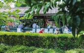 Туры в отель Can Garden Beach Hotel