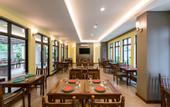 Туры в отель Olive Tree Hotel