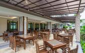 Туры в отель Olive Tree Hotel