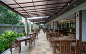 Туры в отель Olive Tree Hotel