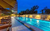 Туры в отель Olive Tree Hotel