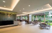 Туры в отель Olive Tree Hotel