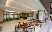 Туры в отель Olive Tree Hotel