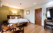 Туры в отель Olive Tree Hotel