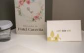 Туры в отель Hotel Caravita