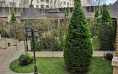 Туры в отель Manor Hotel