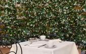 Туры в отель Hotel Degli Artisti