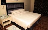 Туры в отель Plaza Inn