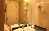 Туры в отель Plaza Inn