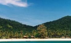 D`Coconut Island Resort
