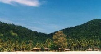 D`Coconut Island Resort 3*