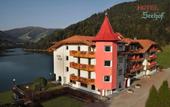 Туры в отель Rosa (Vigo di Fassa)