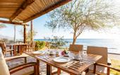 Туры в отель Dahab Paradise