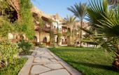 Туры в отель Dahab Paradise