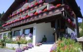 Туры в отель Dahu Hotel