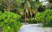Туры в отель Nazaki Residences Beach Hotel