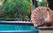 Туры в отель Care Hotel Sunshine Collection