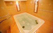 Туры в отель TTC Hotel Premium - Dalat
