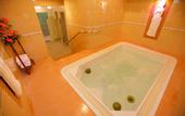 Туры в отель TTC Hotel Premium - Dalat