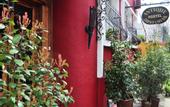 Туры в отель Antique Hostel