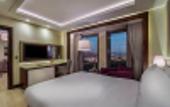 Туры в отель DoubleTree by Hilton Istanbul - Topkapi
