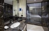 Туры в отель Mercure Istanbul West Hotel & Convention Center