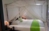 Туры в отель Ridee Villa