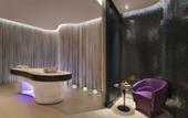 Туры в отель W Dubai - The Palm