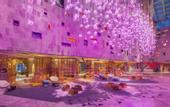 Туры в отель W Dubai - The Palm