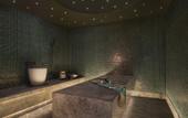 Туры в отель W Dubai - The Palm
