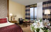 Туры в отель The Dan Carmel Hotel