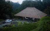 Туры в отель Natya Resort Ubud