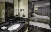 Туры в отель Pullman Istanbul Airport Hotel & Convention Center