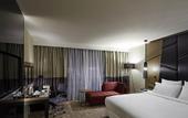 Туры в отель Pullman Istanbul Airport Hotel & Convention Center