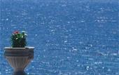 Туры в отель Danai Beach Resort & Villas
