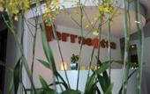Туры в отель Terracotta Hotel & Resort Dalat