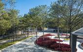 Туры в отель Terracotta Hotel & Resort Dalat