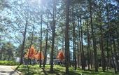Туры в отель Terracotta Hotel & Resort Dalat