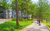 Туры в отель Terracotta Hotel & Resort Dalat