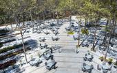 Туры в отель Terracotta Hotel & Resort Dalat