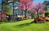 Туры в отель Terracotta Hotel & Resort Dalat