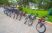 Туры в отель Terracotta Hotel & Resort Dalat