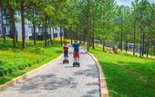 Туры в отель Terracotta Hotel & Resort Dalat