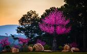 Туры в отель Terracotta Hotel & Resort Dalat