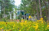 Туры в отель Terracotta Hotel & Resort Dalat