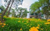 Туры в отель Terracotta Hotel & Resort Dalat