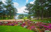 Туры в отель Terracotta Hotel & Resort Dalat