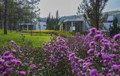 Туры в отель Terracotta Hotel & Resort Dalat